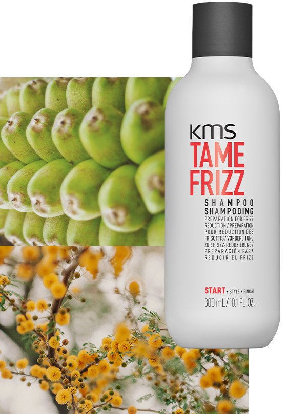 Tame Frizz Shampoo